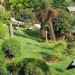 Darıca Faruk Yalçın Hayvanat Bahçesi ve Botanik Parkı