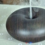 Oda Nemlendiriciniz Mikrop Saçmasın