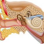 Orta Kulak İltihabı
