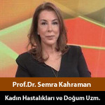 Kısırlık ve Tüp Bebek Tedavisi