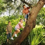 Ağaca Tırmanmak Hafızayı Güçlendirebilir
