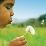 Bahar Alerjisi Olanlar Toza Dikkat