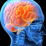 İşte Beynin En İyi Çalıştığı Yaş