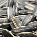 Panik Atağı Çekirdek İle Yenin