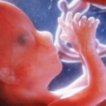 Anne Karnındaki Fetüsün Sağlığı Nasıl Anlaşılır?