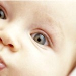 Dondurulmuş Embriyoların Gebelik Şansı