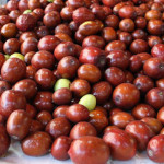 100 Kat C Vitamini Bu Meyvede