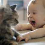 Çocuklarda Kedi Alerjisi