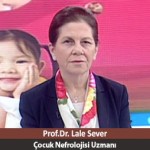 İdrar Yolu Enfeksiyonu ve Tedavisi