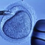 Mikroenjeksiyonun Tüp Bebek Yönteminden Farkı