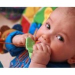 16. Ayda Bebek Gelişimi