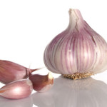 Bahar Gribine Sarımsak