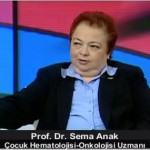 Kemik İliği Nakli ve Psikososyal Etkisi