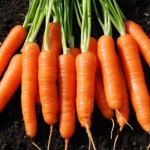 A Vitamini Gribe Karşı Koruyor